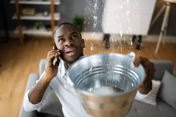 Best Carpet water damage restoration  in The Homesteads, TX