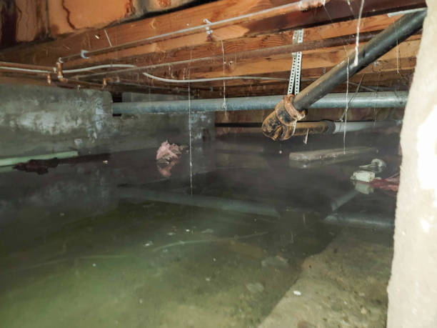Reliable The Homesteads, TX Water damage restoration Solutions