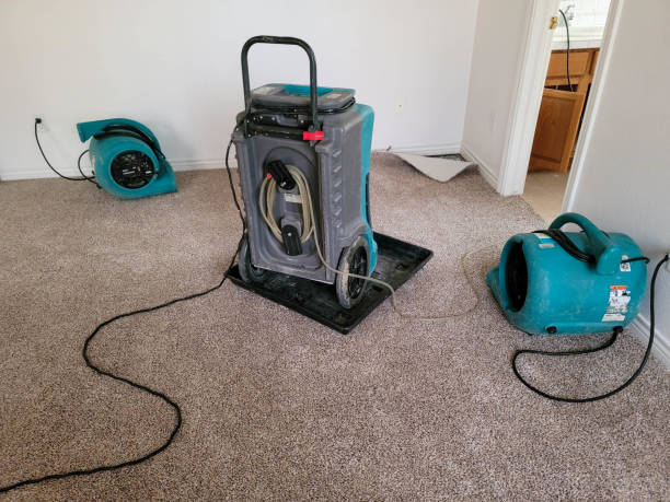  The Homesteads, TX Water damage restoration Pros
