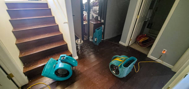 Sewage cleanup and water damage restoration in The Homesteads, TX