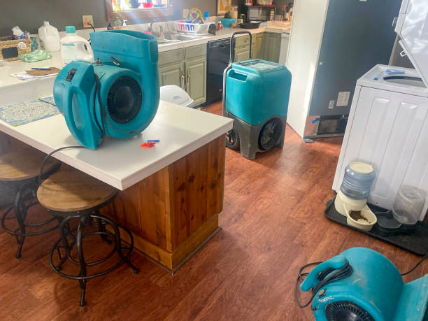  The Homesteads, TX Water damage restoration Pros