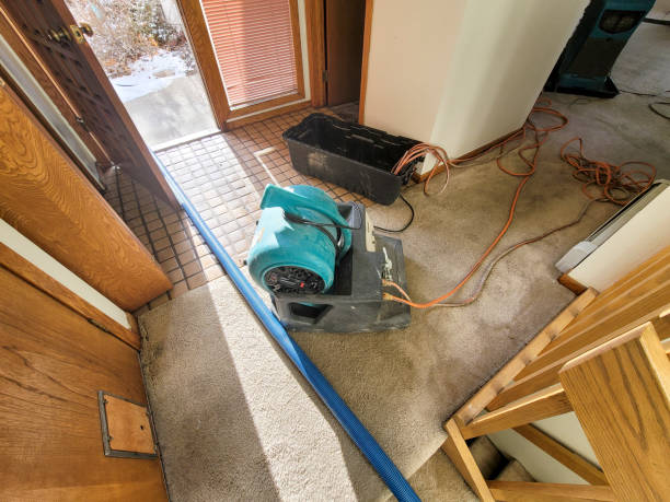 Best Fire Damage Restoration  in The Homesteads, TX