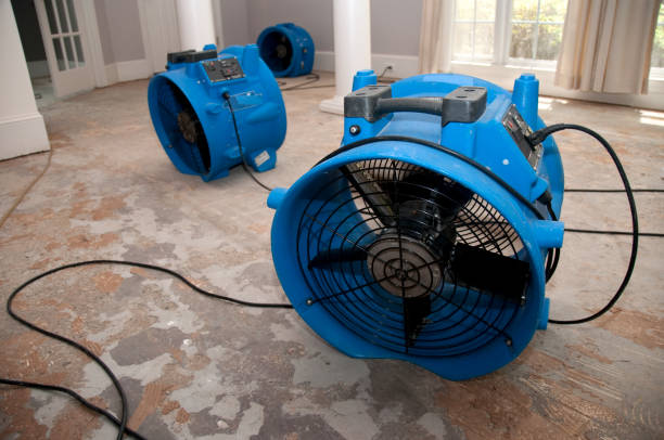 Water damage restoration insurance claims in The Homesteads, TX