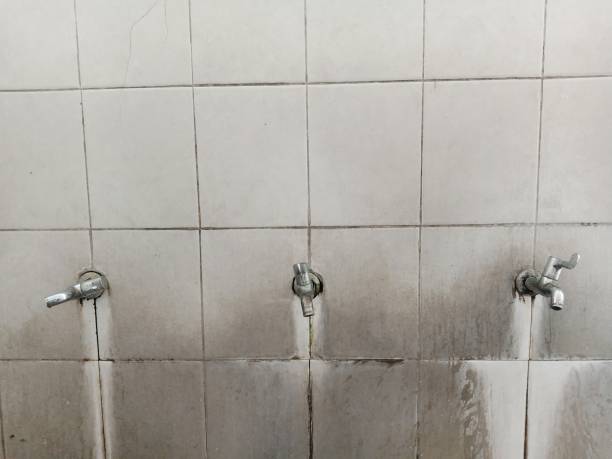 Best Water damage cleanup near me  in The Homesteads, TX