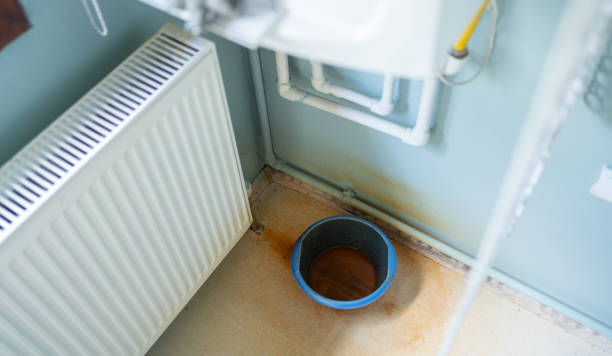 Best Flood damage cleanup  in The Homesteads, TX