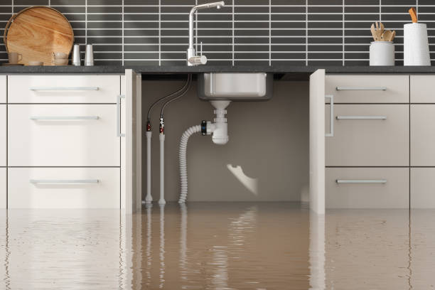 Local water damage restoration in The Homesteads, TX