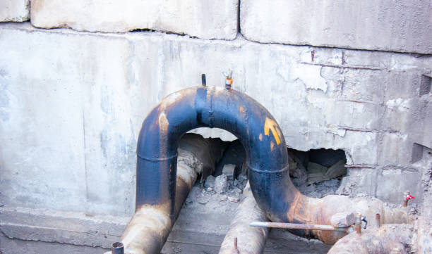 Water damage restoration mold remediation in The Homesteads, TX