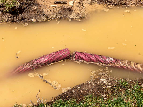 24/7 water damage repair in The Homesteads, TX