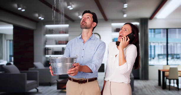 Best Flood restoration services  in The Homesteads, TX