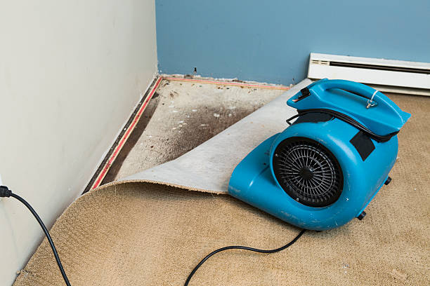 Best 24/7 water damage repair  in The Homesteads, TX