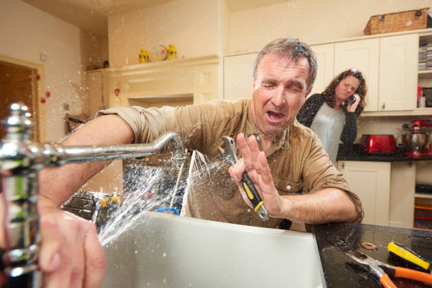Best Local water damage restoration  in The Homesteads, TX